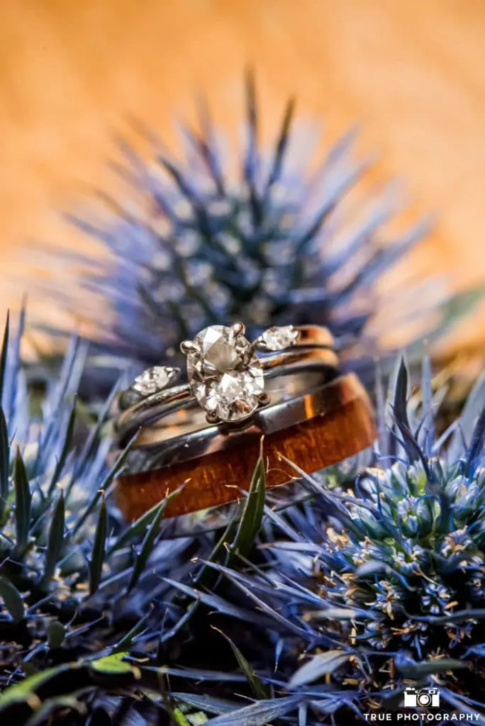 The wedding bands rest on a bed of thistles.