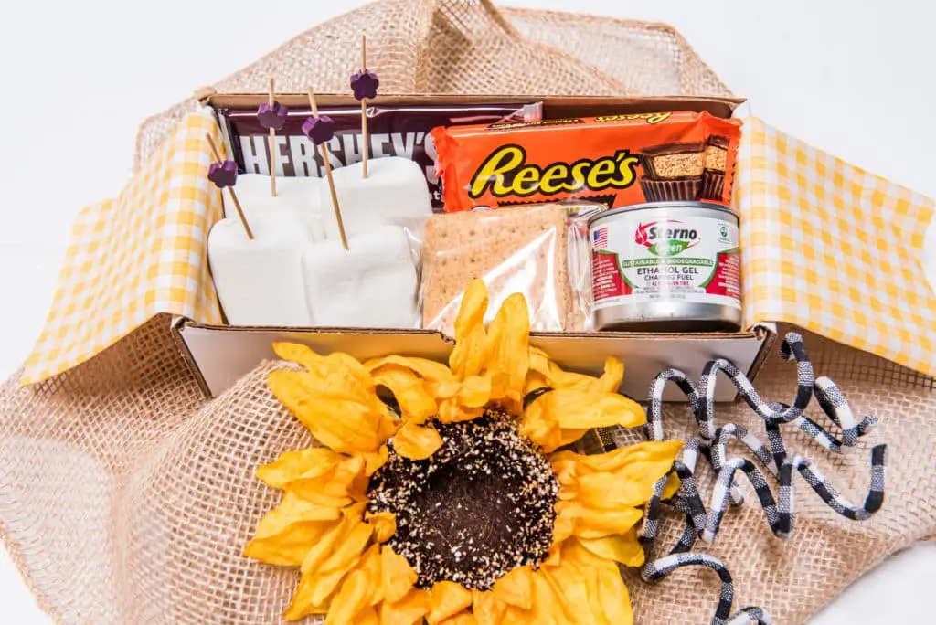 Distance Party To-Go box, "Give Them S' mores!