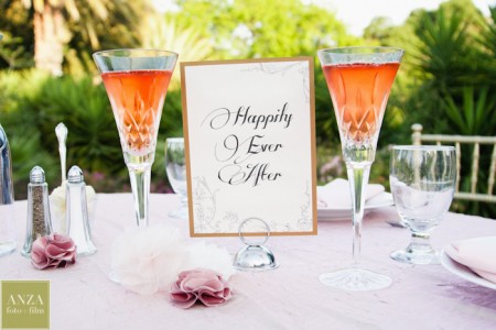 Wedding Toasting Glasses