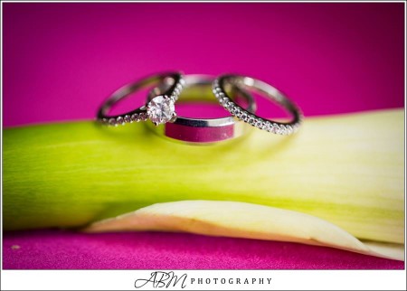 Megan and Daniel - ABM Photography - La Jolla Woman's Club - San Diego Catering - Personal Touch Dining (20)
