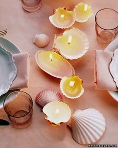 Sea Shell Candles