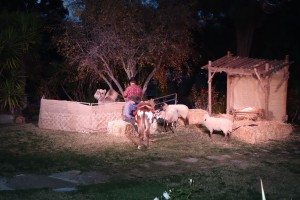 DSC02010
