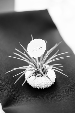McEvoyHein_436_bw