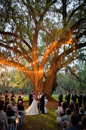 louisiana plantation wedding, destrahan louisiana