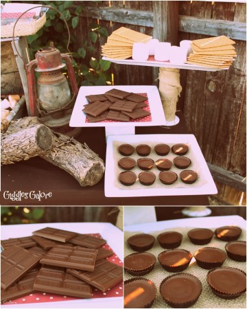 smores blog