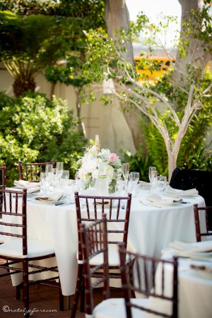 Trusty Wedding 2015-291