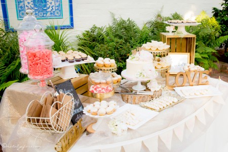 Trusty Wedding 2015-352