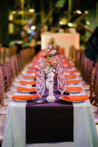 Nguyen Professional 11-21-2016 (541)