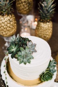 sarahjonathan_married-629